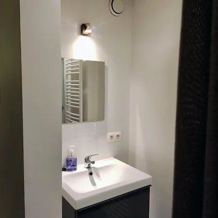 Unique Historic Mill Loft With River Lys Views 公寓 根特