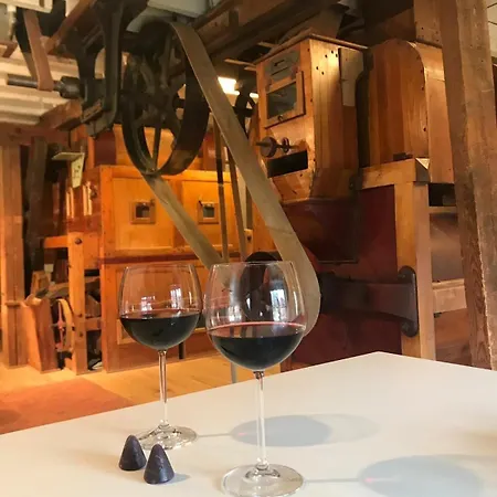 Unique Historic Mill Loft With River Lys Views * 根特