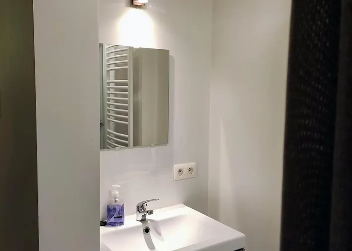 Unique Historic Mill Loft With River Lys Views 公寓 根特