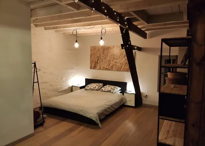 Unique Historic Mill Loft With River Lys Views 根特